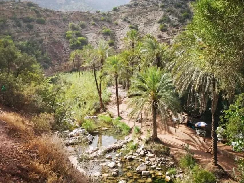 Paradise Valley Tour: Atlas Mountains & Natural Rock Pools